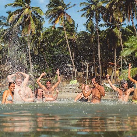ホテル Surf & Yoga アルガムベイ エクステリア 写真