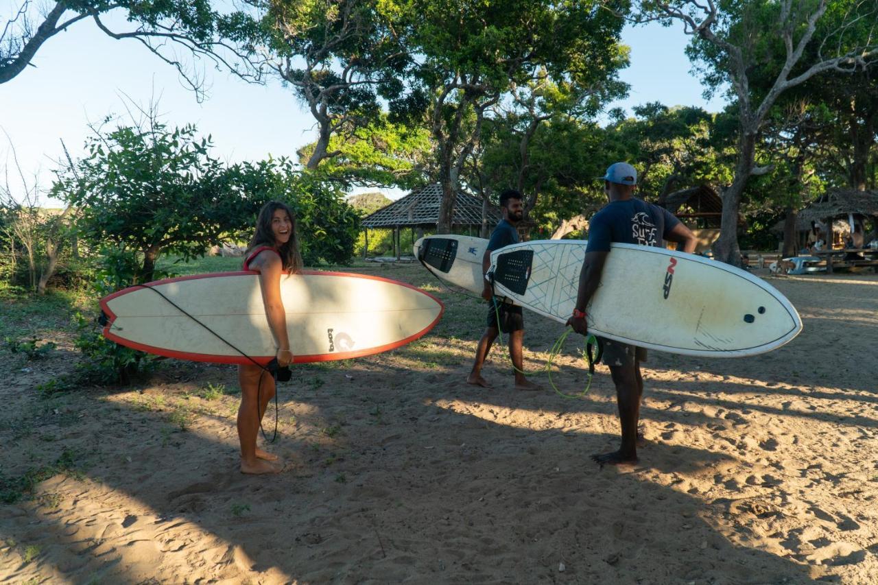 ホテル Surf & Yoga アルガムベイ エクステリア 写真